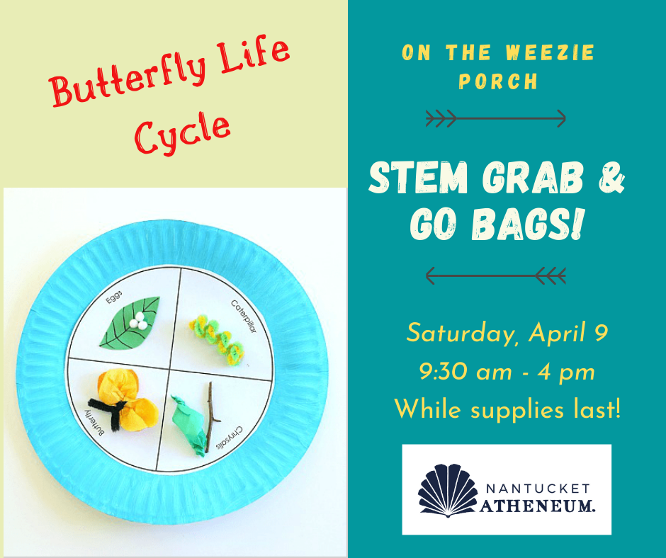 stem-grab-go-bag-butterfly-life-cycle-craft-nantucket-atheneum
